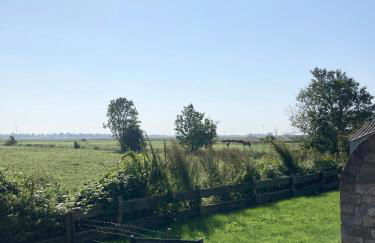 Ferienhaus Momke am Diek Haushälft A - Foto 12