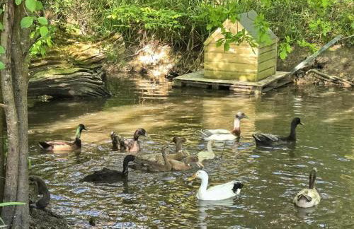 1 Bed in Newport oc-94188 - Foto 23