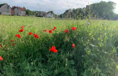 Tiny House im Grünen - Photo 28