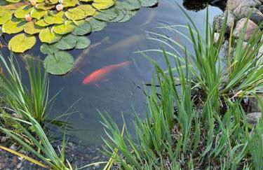 Ferien oder Wochenendwohnung - Foto 6