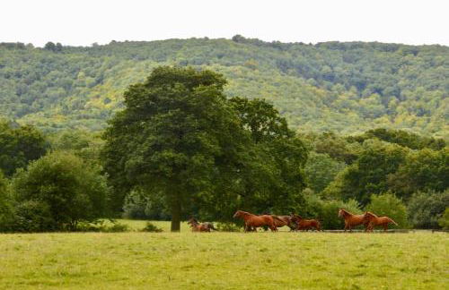 Barn Cottage -Westerlands - Foto 14