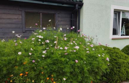 Agroturystyka nad morzem II - Foto 34