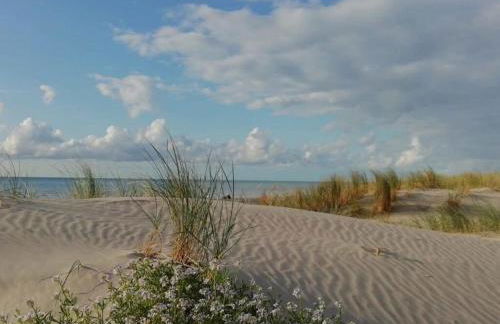 Superbe appartement cosy, à 50m de la plage, 4 pers - Foto 20