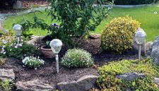 Apartment in Sehlen - Insel Rügen 3026 - Photo 2, Garden