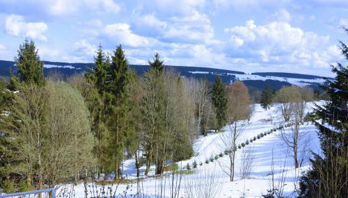 Ski und Wanderurlaub im Wald Ferienhaus Adlerblick - Foto 3