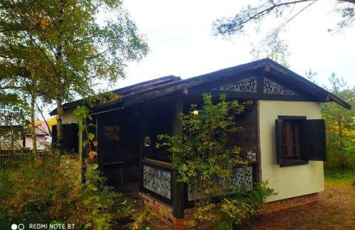 Kamiennikove - Foto 8