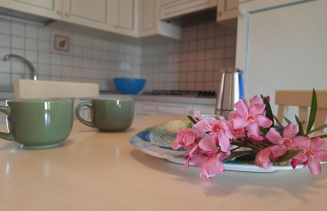 Case Vacanza Castello di Gallura - Foto 45