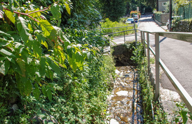 Simona Fontile 11 - Foto 18