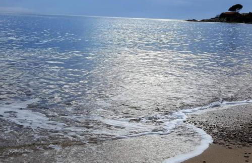 Villa Tarco, South Corsica, Sea View & Garden - Foto 13