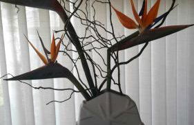 Casa do Pitoco - Foto 3