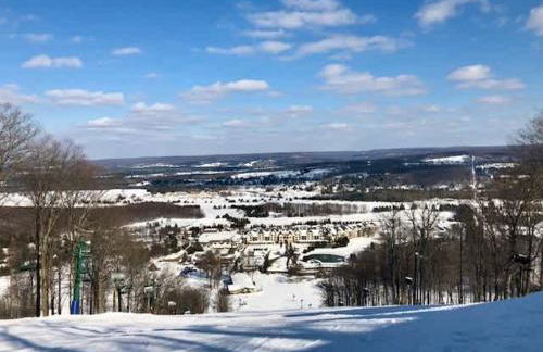 1 Mile From Boyne Mt- Chateau Patak - Foto 40