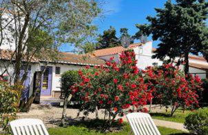 Les Laurier rose - Foto 10