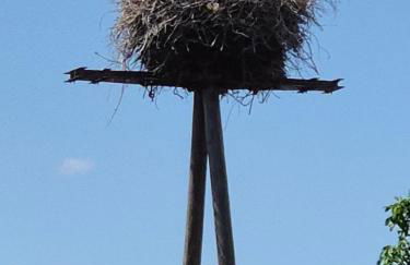 Am Storchennest - Foto 3