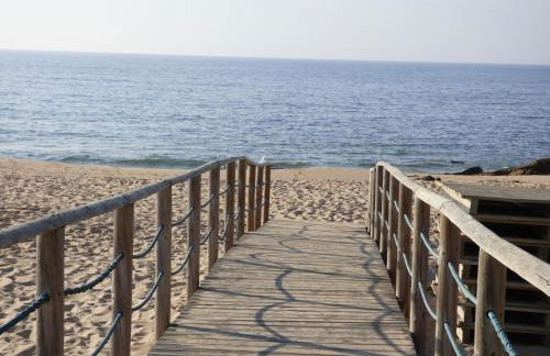 Meu Moinho - Foto 27