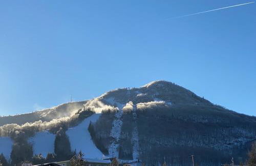 Hunter Mountain Sanctuary - Foto 32