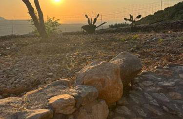 Λαγκάδι Μάνης - Foto 37