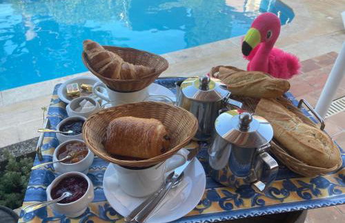 Les Bougainvillées de Camargue - Photo 56