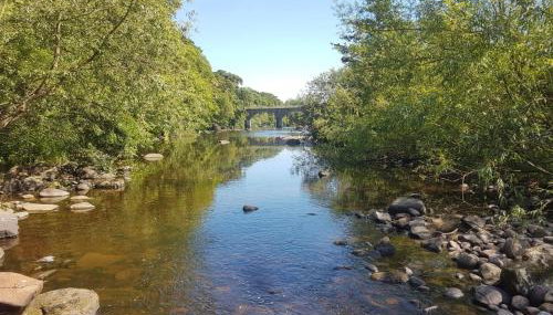 Otter Lodge - Foto 2