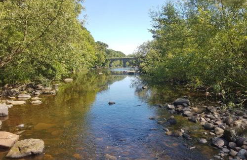 Otter Lodge - Photo 2