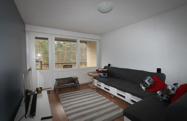 1-bedroom apartment with private Sauna - Foto 10