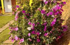 chale 2 canto das montanhas - Foto 19