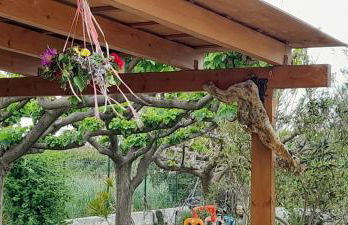 Silvi Mari Apartments - Foto 49