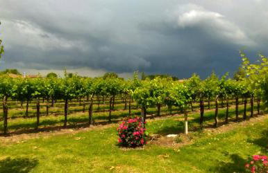 Agriturismo Fondo Gesù - Foto 14