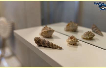 TayLa-Apartment Vodice - Foto 59