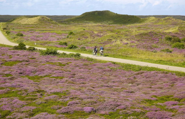 Semi-detached, Luxury Villa With 3 Bathrooms, sea at 400 m - Foto 57