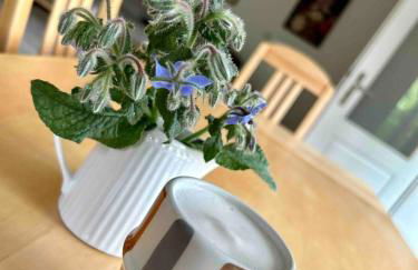 Ferienwohnung LANDZEIT - Foto 16