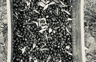 Ca' Salva Rustic Charme - Foto 71