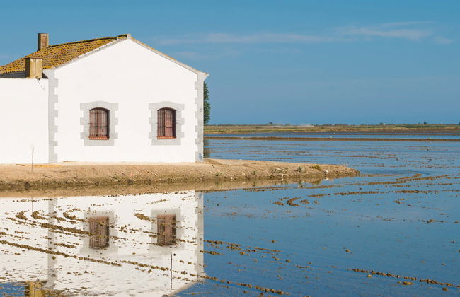 Paseo a caballo por el Delta del Ebro - Foto 1