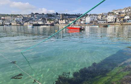 Central Penzance, Modern stylish home, Near Seafront with Gated parking - Photo 28