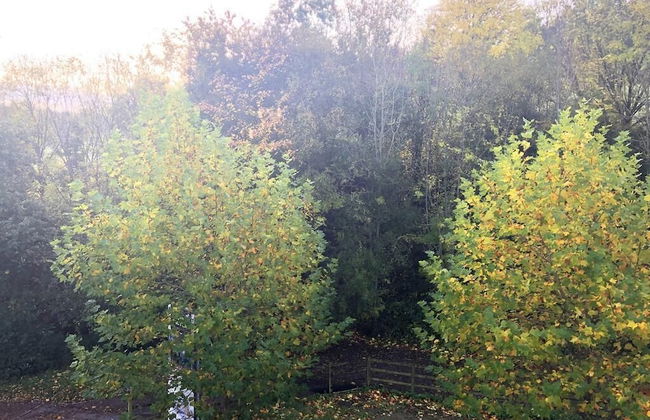 Parkside Penthouse - Foto 34