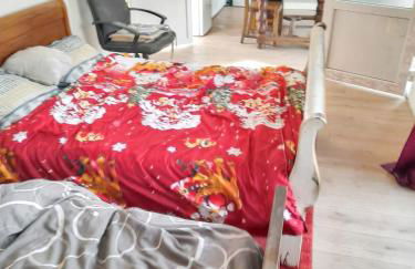 Studio confortable à Bellerive-sur-Allier 30 m² avec jardin - Foto 10