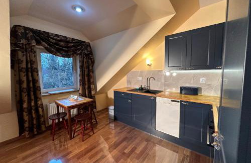 Rezydencja Pod Platanem - Photo 29