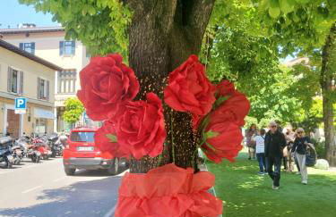 La Casa di Perla BILOCALE A 6 Kilometri da SALO' - Foto 37