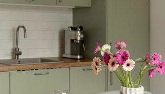 Okno na Beskidy - Foto 4