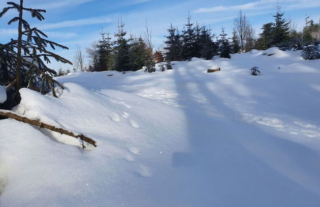 See & So Modern Retreat - Foto 12