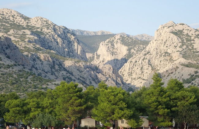 Apartments Branka - Foto 1