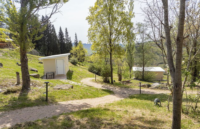 La Valle Dei Caprioli - B&B - Foto 5