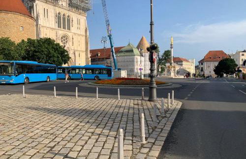 Centrally Chic Studio - Photo 23