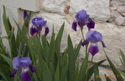 Gîte confortable à Huismes, proche de Chinon avec cour fermée - FR-1-381-370 - Foto 30