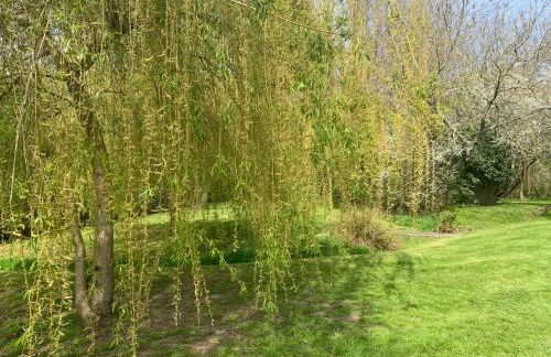 Thatched Cottage - Foto 17