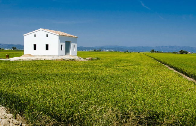 Tour por el Delta del Ebro - Foto 1