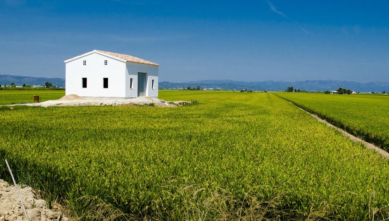 Tour por el Delta del Ebro - Foto 1, Tour por el Delta del Ebro