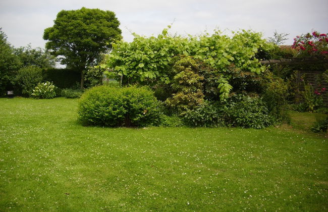 De Reus van Horebeke - Photo 36