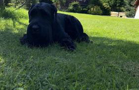 Wichrowe Wzgórze 4 - Foto 5