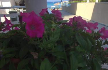 Polistilo Spiti - Foto 37