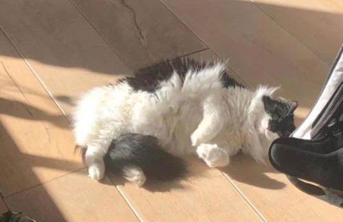 Feriendorf am Weinberg, Dobbrikow - Foto 31